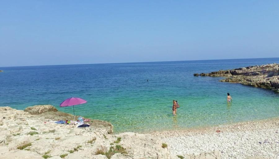 Apartman Gabrijela Muntic Bagian luar foto